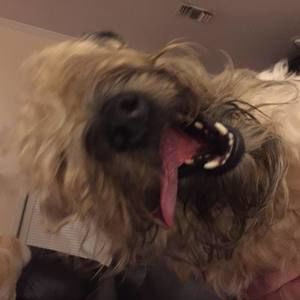 Meet your Posher, Ricky